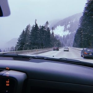 Meet your Posher, Lana